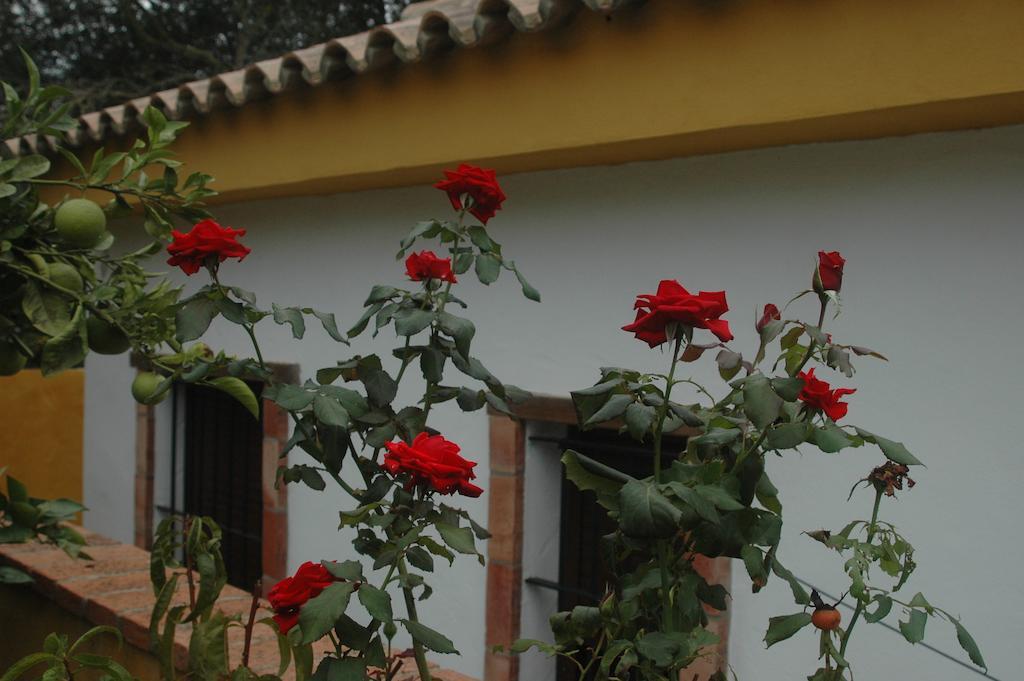 Country house Casa Jazmin *
